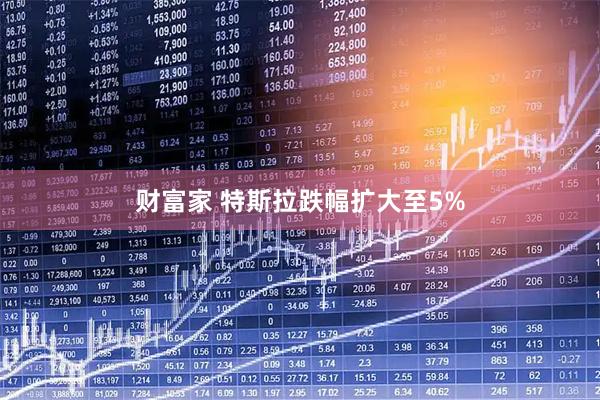 财富家 特斯拉跌幅扩大至5%